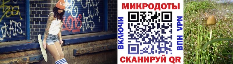 Купить где  Воскресенск  Псилоцибиновые грибы Psilocybine cubensis 